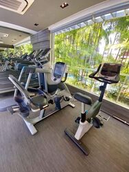 The Seawind (D15), Condominium #534530621
